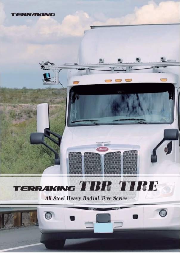 Terraking Front Page